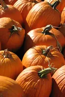 2015-10-31 20-15-15 810_7174