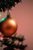 2015-11-05 17-35-06 800_0841