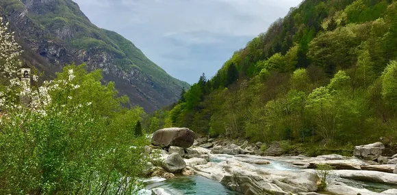 Bâtiment Duc et Sarrasin Martigny 2