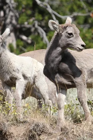 DSC_2854