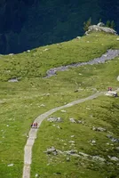 Sierre Zinal Men