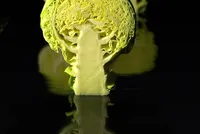 2017-02-15 14-26-38