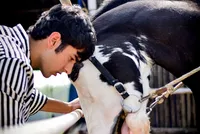 PoloMies_DSC_0965