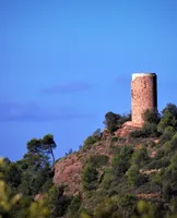 Full_ALG_0780